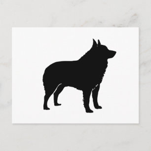 Carte Postale Silhouette de Schipperke.png