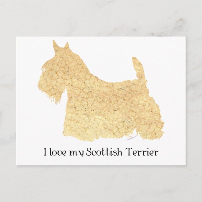 Carte Postale Silhouette de Scottish Terrier roux (Devant)