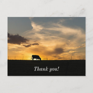 Carte Postale Silhouette de vaches au coucher du soleil