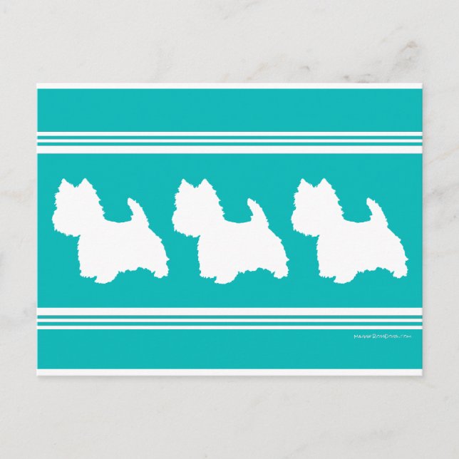 Carte Postale Silhouette de Westie sur turquoise (Devant)