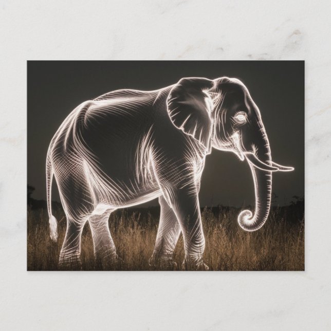 Carte Postale Silhouette d'éléphant lumineux (Devant)