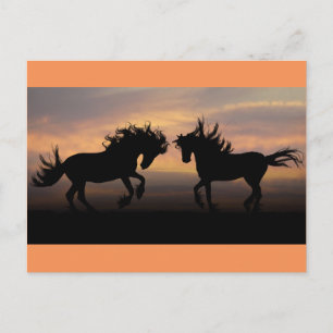 Carte Postale Silhouette des chevaux sauvages