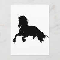 Silhouette du cheval blanc noir