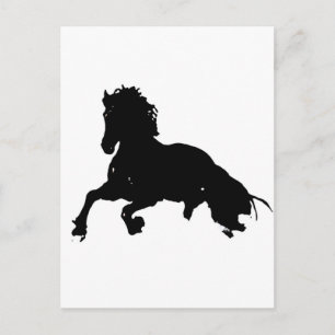 Carte Postale Silhouette du cheval blanc noir