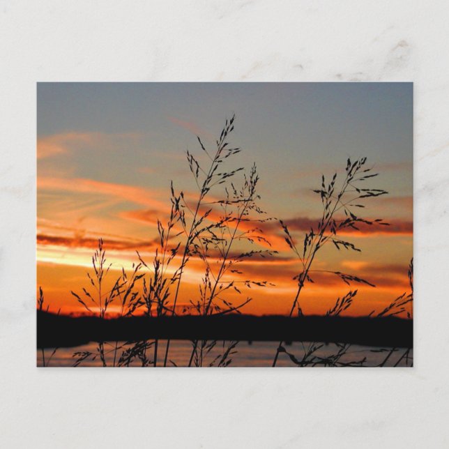 Carte Postale silhouette du coucher de soleil (Devant)