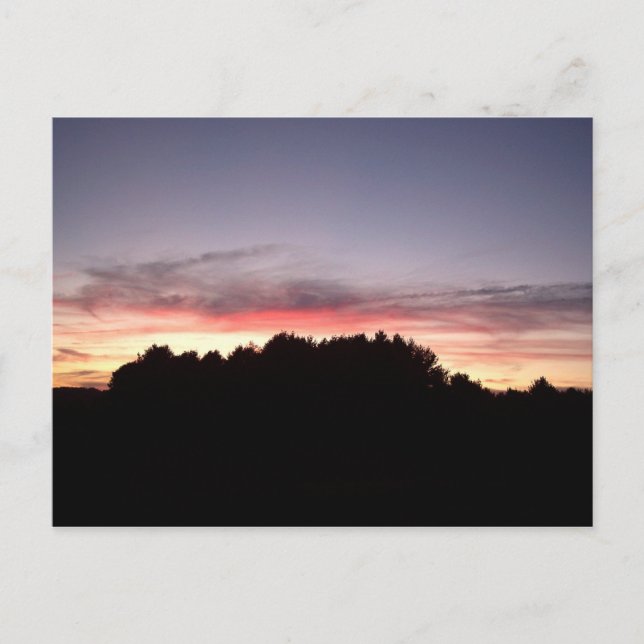 Carte Postale Silhouette du coucher de soleil (Devant)