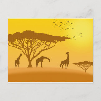 Carte Postale Silhouette du coucher de soleil en Afrique