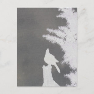 Carte Postale Silhouette du geai de Steller