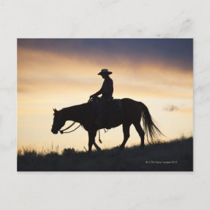 Carte Postale Silhouette d'une Cowgirl sur son cheval contre