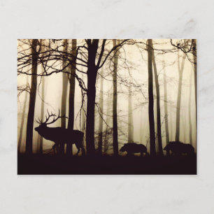 Carte Postale Silhouette étonnante du cerf