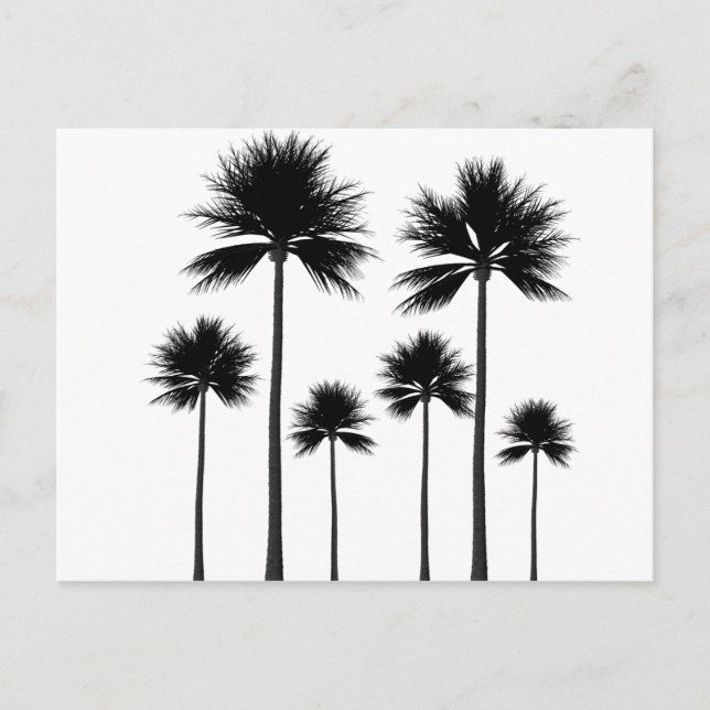Carte Postale Silhouette palmier (Devant)