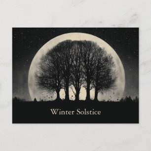 Carte Postale Silhouette saisissant de beaux arbres nus