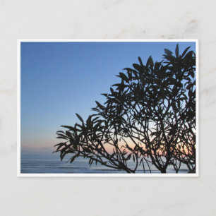 Carte Postale silhouette sereine