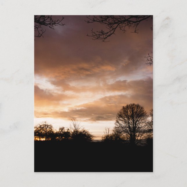 Carte Postale Silhouettes du coucher du soleil (Devant)