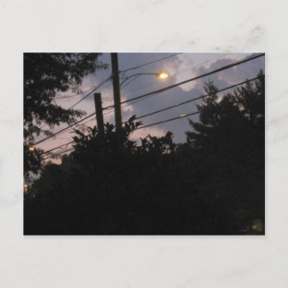 Carte Postale Silhouettes du soir