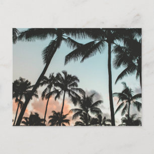 Carte Postale Silhouettes palmières
