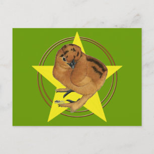 Carte Postale Silkie Red Chick Star