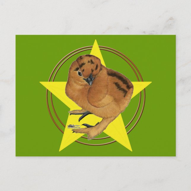 Carte Postale Silkie Red Chick Star (Devant)