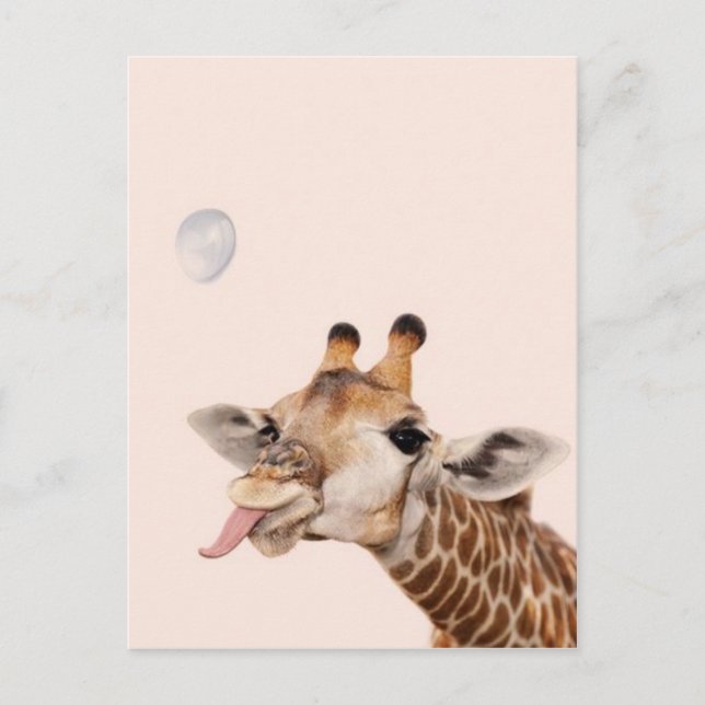 Carte Postale Silly Giraffe (Devant)
