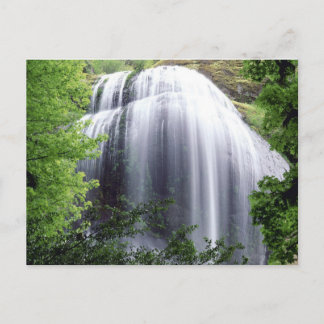 Carte Postale Silver Falls, Oregon