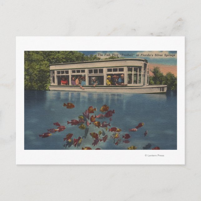 Carte Postale Silver Springs, Floride - Vue sur Riverboat & (Devant)