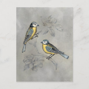 Carte Postale Silvered Aviary   Bird Couple