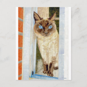 Carte Postale Simone à la fenêtre (Siamese)