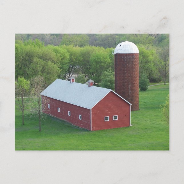 Carte postale Simple Life (couleur) (Devant)