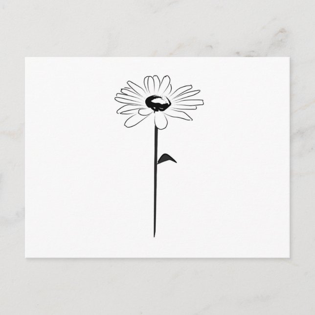 Carte Postale Simple marguerite de printemps (Devant)