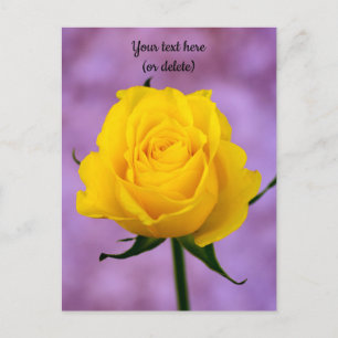 Carte postale simple rose jaune
