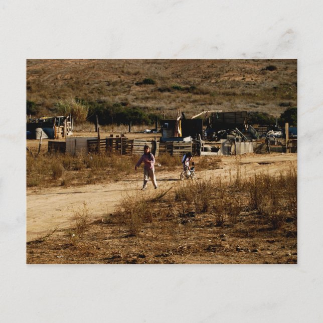 Carte postale simple Walk (Devant)