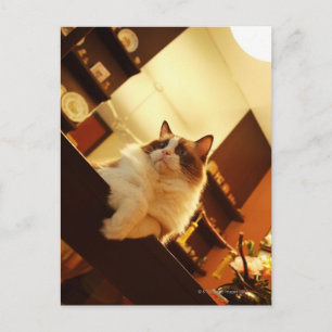 Carte Postale Singapour 6