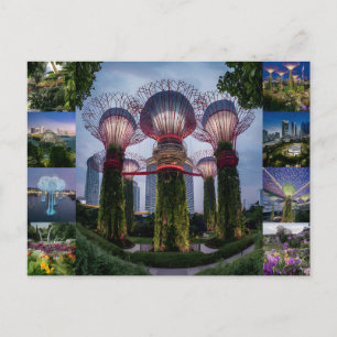 Carte Postale Singapour voyage Super arbres.