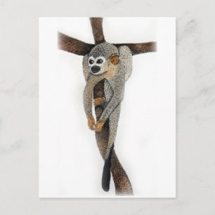 Carte Postale singe araignée dessin au stylo