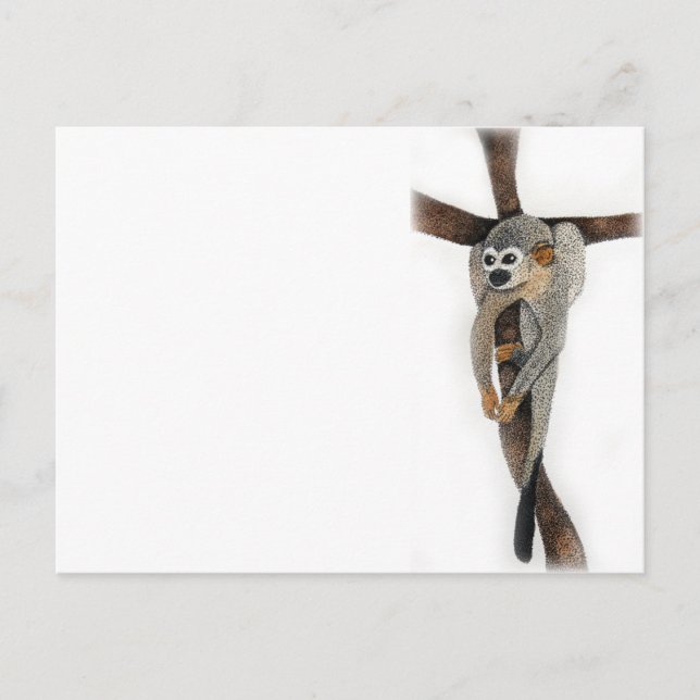 Carte Postale singe araignée dessin au stylo (Devant)