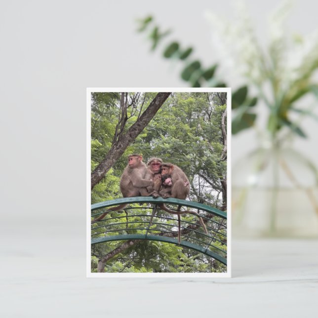 Carte Postale Singe avec un bébé minuscule (Debout devant)