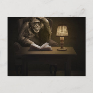 Carte Postale Singe de Chimpanzé Ape