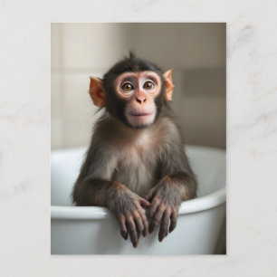 Carte Postale Singe drôle dans la salle de bain