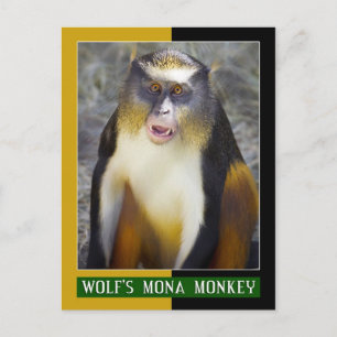 Carte Postale Singe du Mona (Guenon) du loup