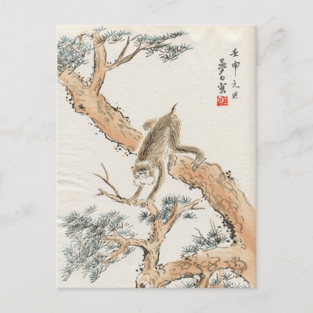 Carte Postale Singe japonais (Devant)