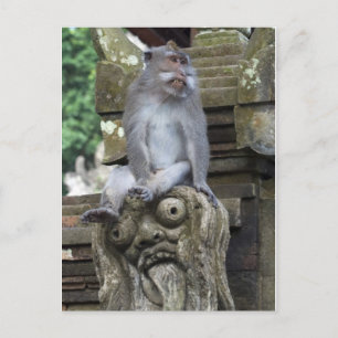 Carte Postale Singe se reposant à une statue dans Bali