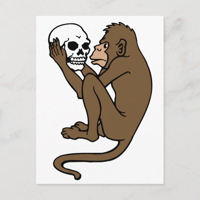 Carte Postale Singe Tenant Un Crâne (Devant)