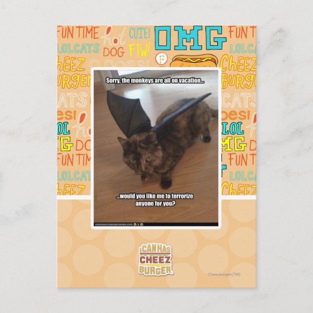 Carte Postale Singes en vacances (Devant)