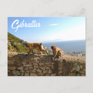Carte Postale Singes sur le rocher de Gibraltar