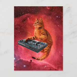 Carte Postale Sinthesizer cat