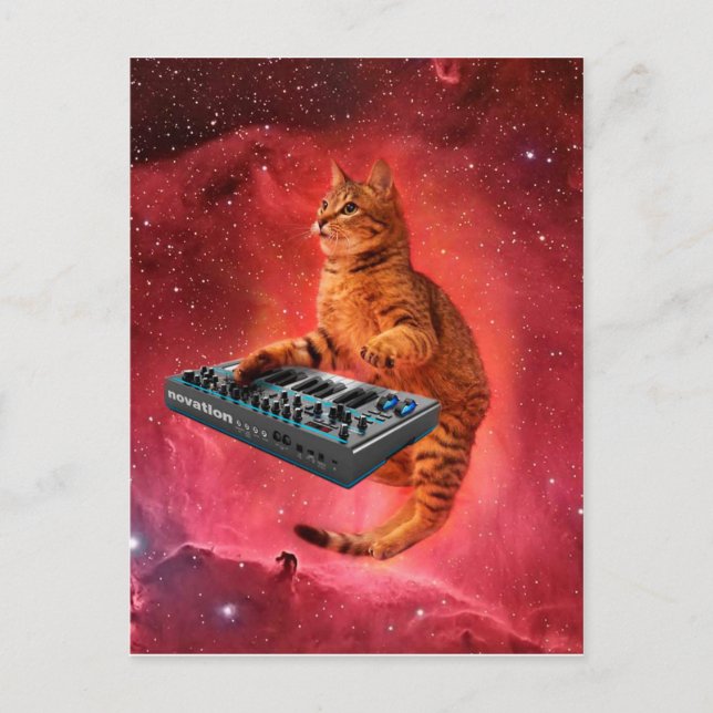 Carte Postale Sinthesizer cat (Devant)