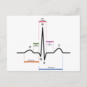 Carte Postale Sinus Rhythm Electrocardiogramme ECG