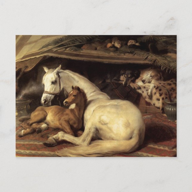Carte Postale Sir Edwin Henry Landseer | La tente arabe (Devant)