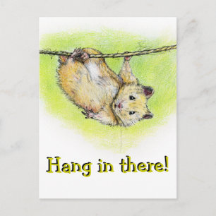 Carte Postale Sir Ham