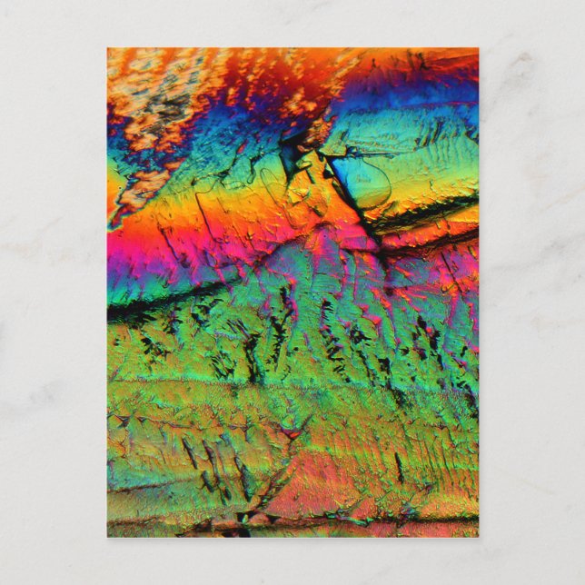 Carte Postale sirop d'érable au microscope (Devant)